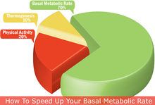 Speed Up Your Basal Metabolic Rate