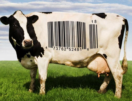 Food Inc. Cow with Food Scanner Code