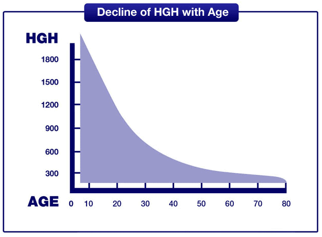 The Human Body's Production of Human Growth Hormone Over Time