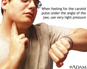 carotid pulse taking