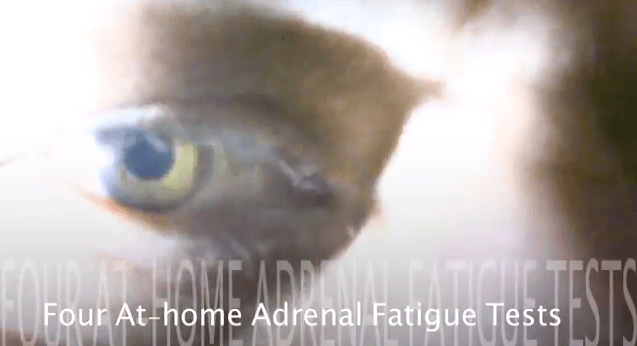 4 adrenal fatigue tests