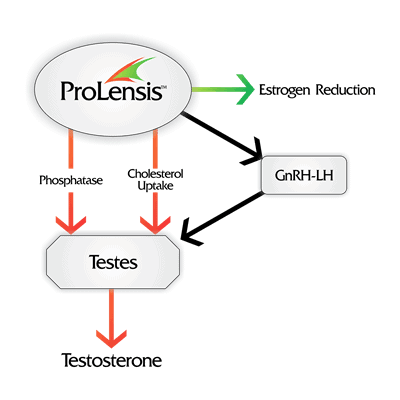 ProLensis can boost your testosterone
