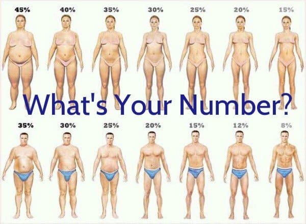 trim body fat/body fat percentages