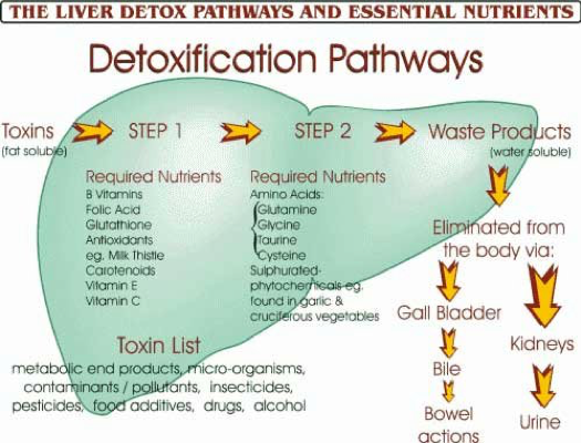 Detox cleanses must address the three detoxification pathways