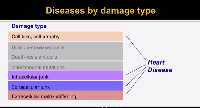 Diseases by damage type, Heart Disease