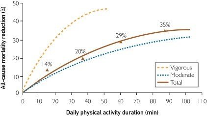 Exercises reducing mortality