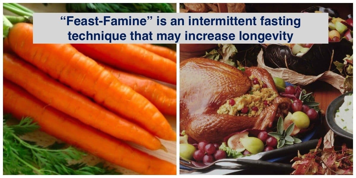 Feast-Famine