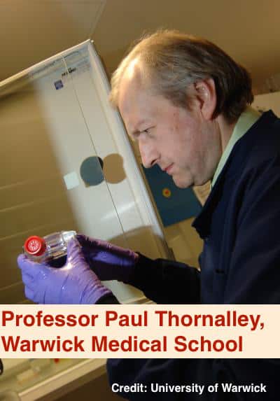Professor Paul Thornalley