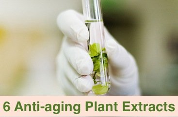 6 Anti-aging plant extracts you can use now