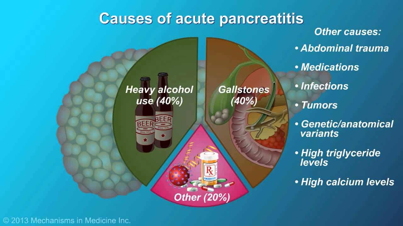 strengthen your pancreas