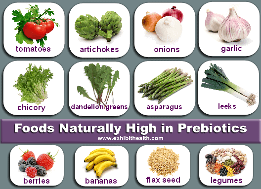 Protect your gut bacteria by feeding your microbiota with prebiotics