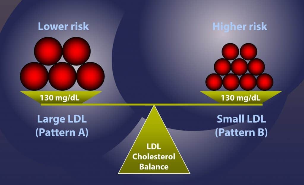 LDL particle size determines heart disease risk.