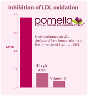 Pomella extract can inhibit LDL oxidation