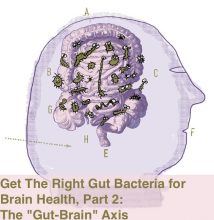 the gut-brain axis