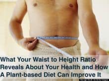 Your Waist to Height Ratio is an important indicator of lifespan