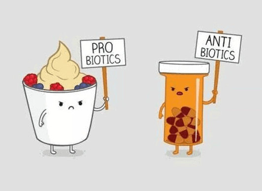Always take probiotics if you must take antibiotics
