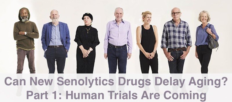 Can New Senolytics Drugs Delay Aging in Humans?