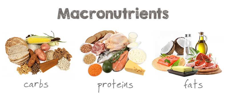 holiday fat loss tips include choosing healthy macronutrients