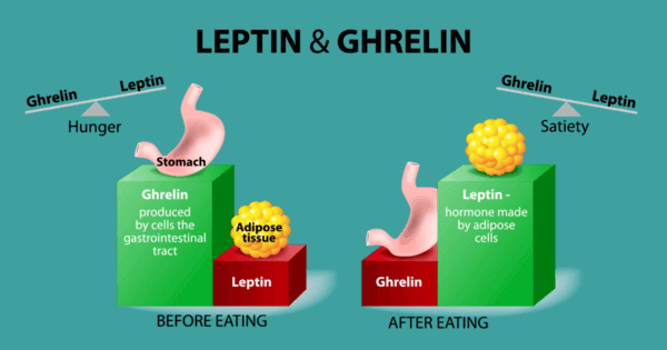 optimize insulin and leptin 
