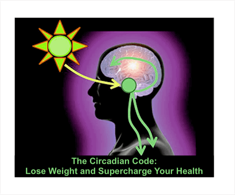 the circadian code