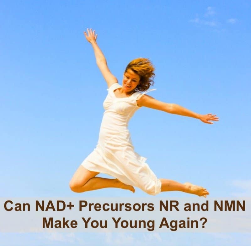 NAD+ precursors