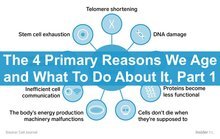 primary reasons we age