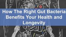 gut bacteria benefits