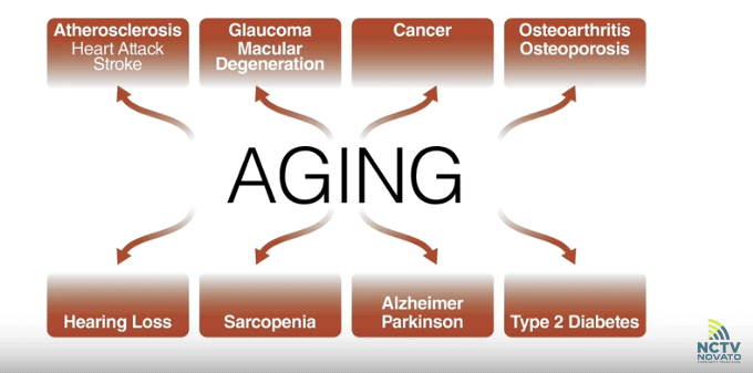 Dr. Verdin: the chronic diseases associated with aging
