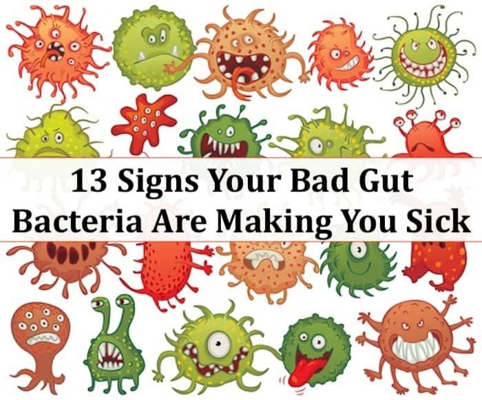 bad gut bacteria