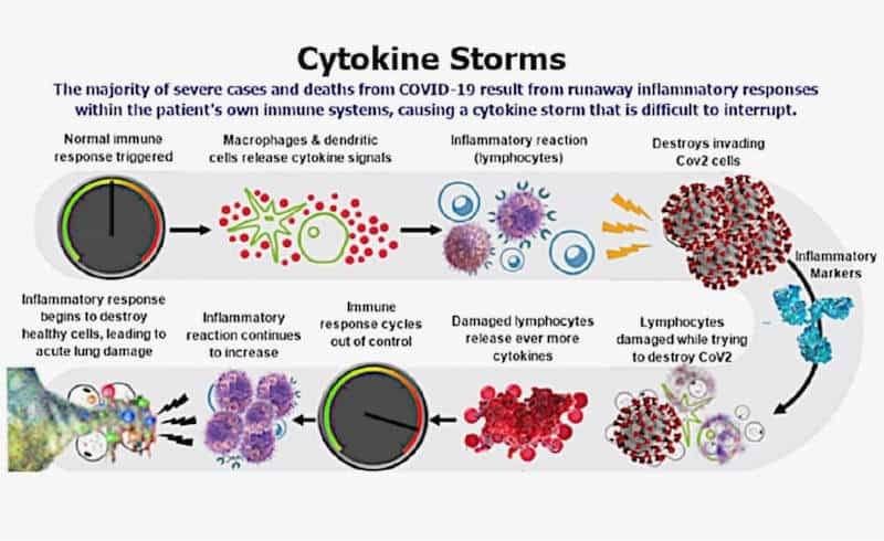 Herd immunity to prevent the dreaded cytokine storm