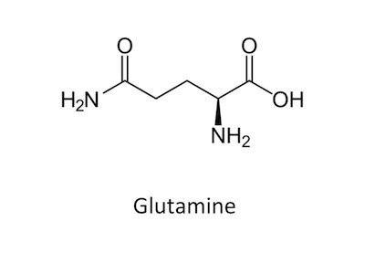 detox your gut with glutamine