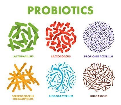 detox your gut with benefical probiotics
