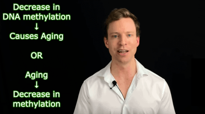 3 Ways to Increase DNA Methylation