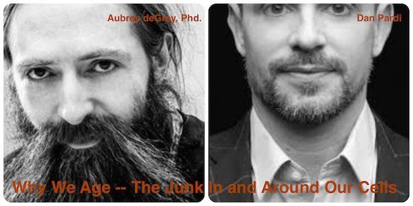 Aubrey deGrey why we age