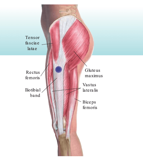 gluteal femoral area
