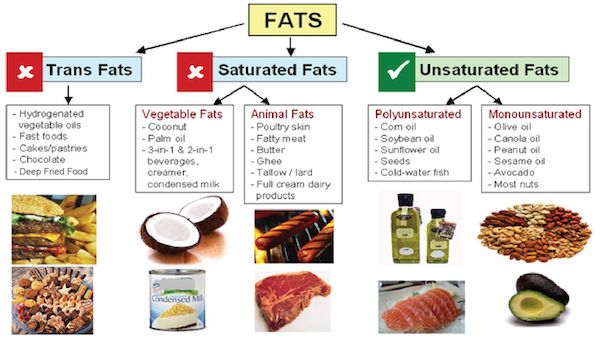 The saturated fats vs unsaturated fats is not a serious debate