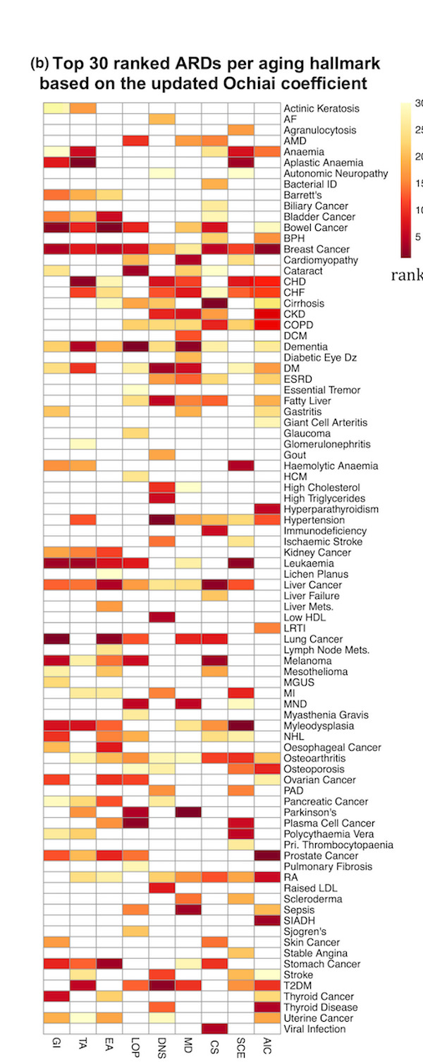 Age-related Diseases Associated with Hallmarks of Aging