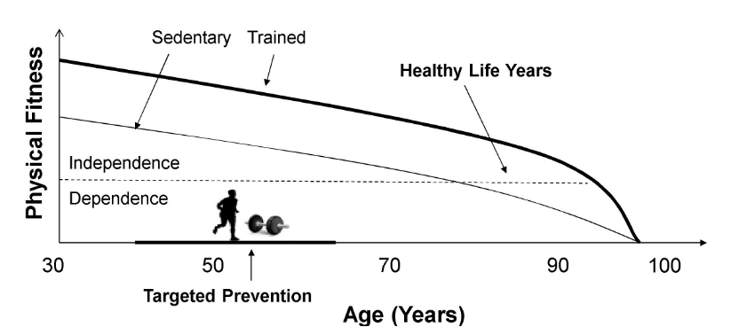 reduce obesity in older adults by exercising more