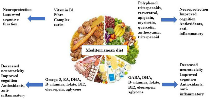 Food-derived Nutrients that Protect the Brain are covered with the Mediterranean diet