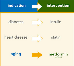 Metformin Update -- TAME Trial seeks to make metformin an "indication"
