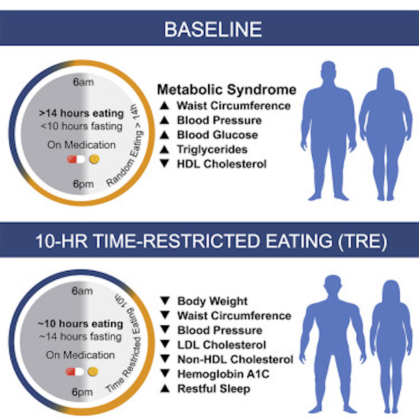 Time Restricted Feeding Improves Metabolic Health