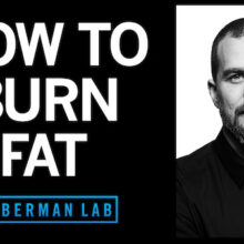 Increase Your Fat Burning Capacity by Neuronal Activation