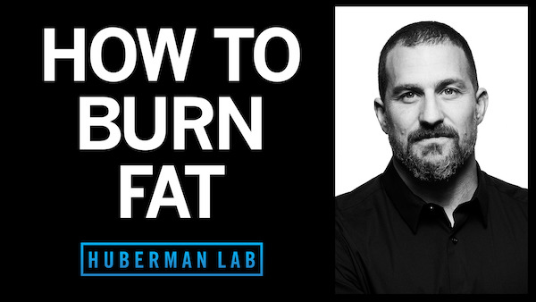 Increase Your Fat Burning Capacity by Neuronal Activation