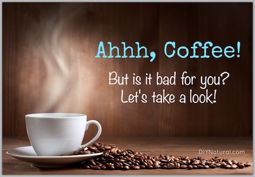 diet misinformation makes understanding the pros and cons of coffee consumption perplexing.