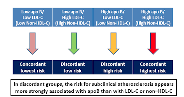 apoB levels related to LDL levels