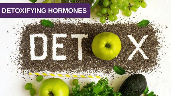 Hormones and detoxification 