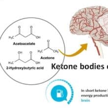 The Remarkable Benefits of Ketone Bodies