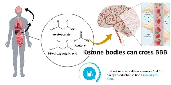 The Remarkable Benefits of Ketone Bodies