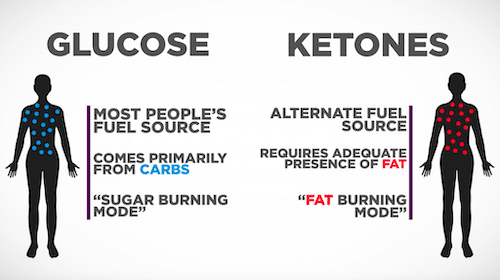 Benefits of ketone bodies include burning fat for fuel