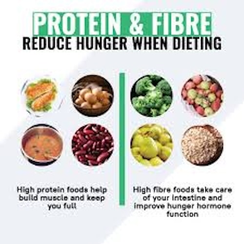 Protein and fiber
